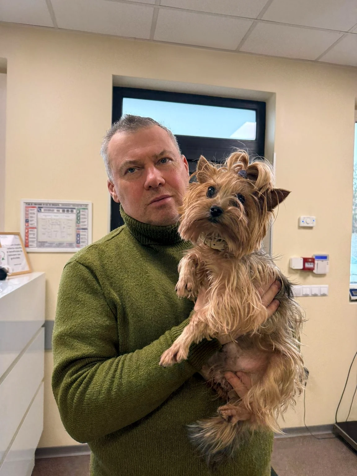 Câine la veterinar Medifoster